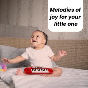 Battery Operated Multi-Functional Portable Organ/Piano/Keyboard Musical Toy